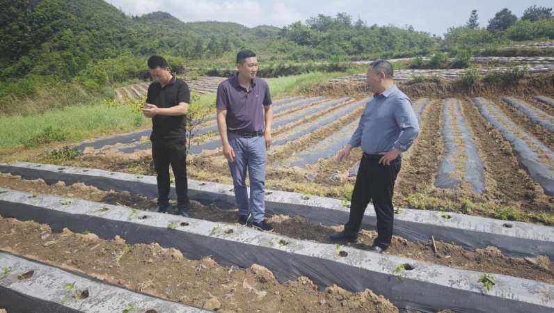 跨省治理不再难！隘口镇与甘龙镇“四联四同”打造和谐边区