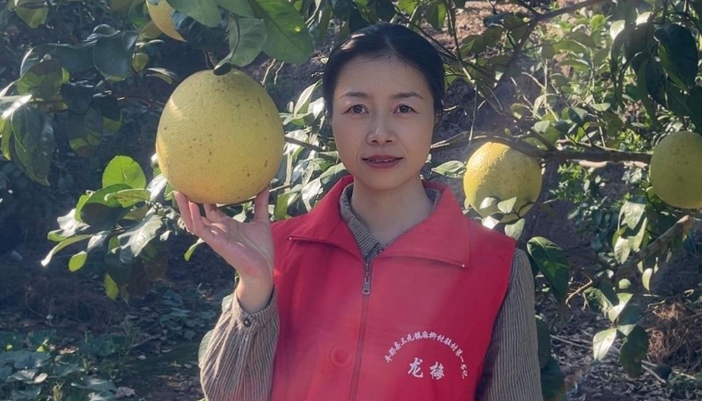 市监红心映乡村｜红心映乡村 实干显担当