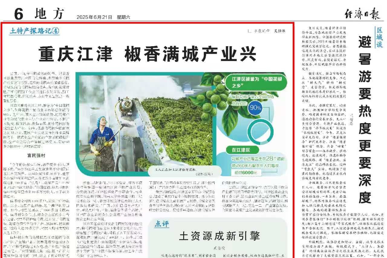 经济日报看重庆｜江津：椒香满城产业兴