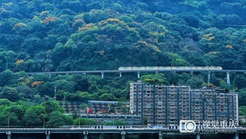 超大城市现代化治理，重庆如何发力？
