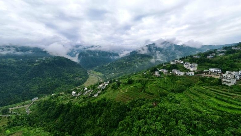 让深山宝贝更好“出圈”