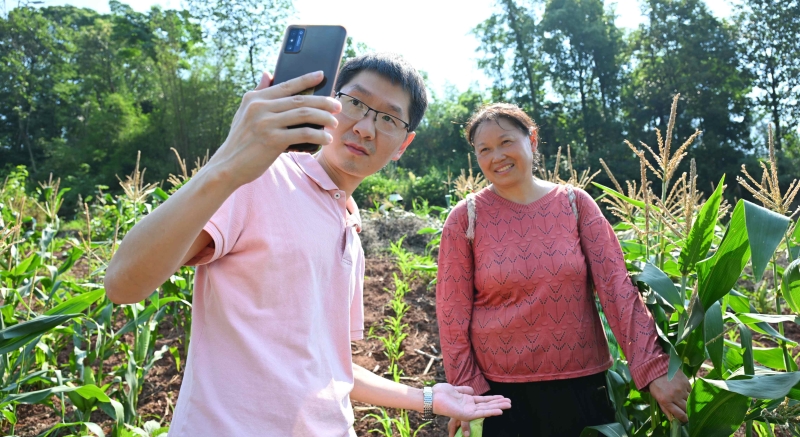 山脚到山腰都是“巴掌田”，种地为何在这里又成香饽饽？
