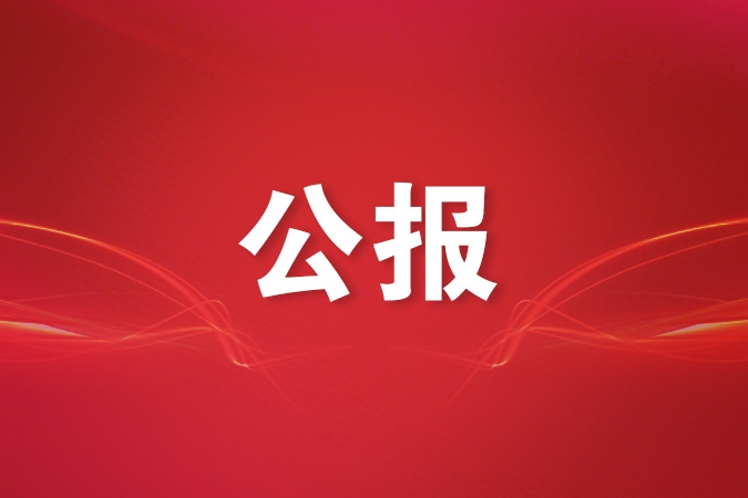 中国共产党党内统计公报