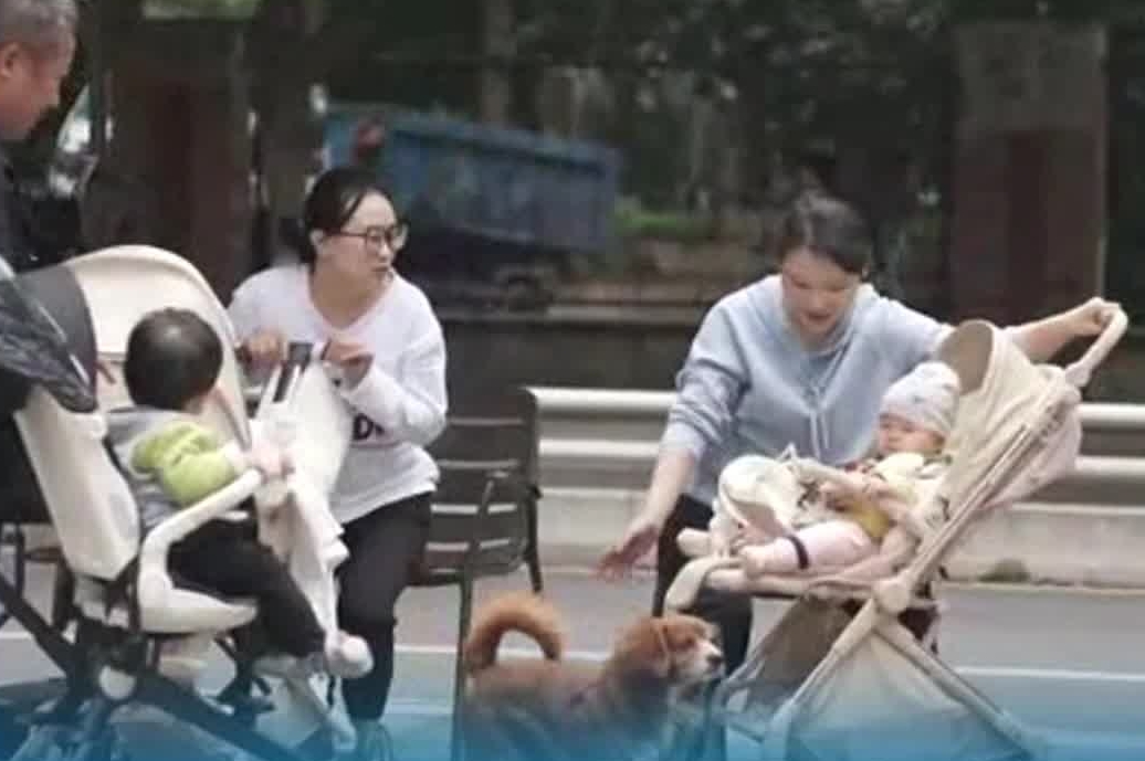 重庆打造“家门口”的“幸福圈”配齐便民业态 升级社区消费场景#15分钟高品质生活服务圈#消费