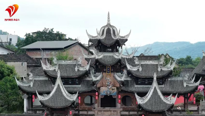 杨毅专栏｜千年松溉长江遗韵