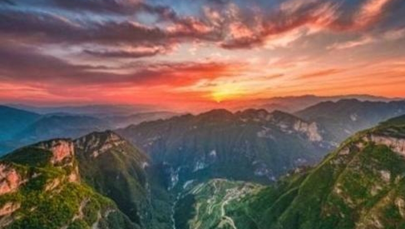 市监红心映乡村｜八载深耕乡野　铸就振兴华章
