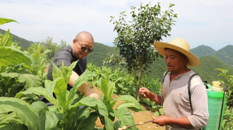 重庆巫山：从田间到心间——驻村书记胡正江的为民之路