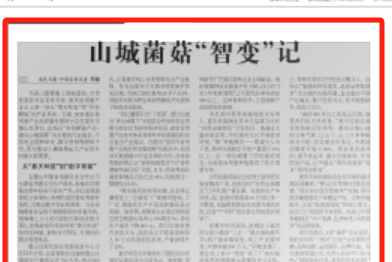 农民日报看重庆｜山城菌菇“智变”记