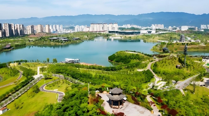 重庆垫江：力量下沉 破解基层治理“小马拉大车”难题