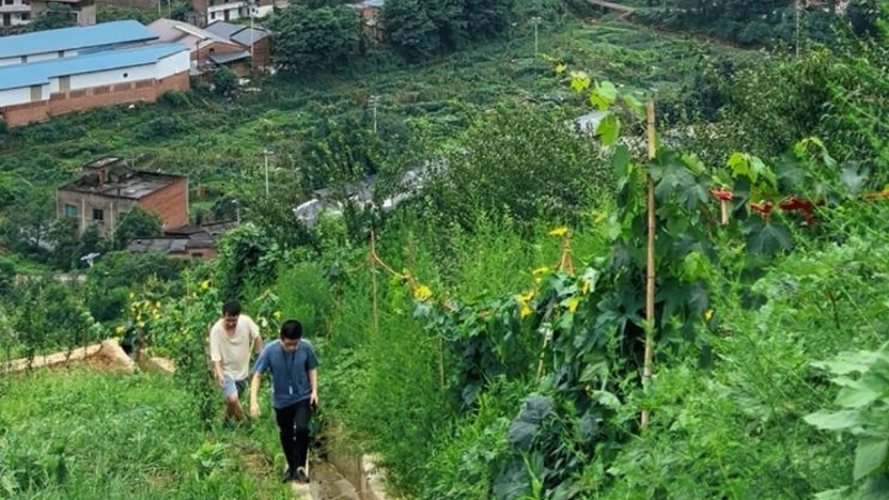 重庆璧山璧城街道：依托“141”基层智治平台科学高效应对强降雨​