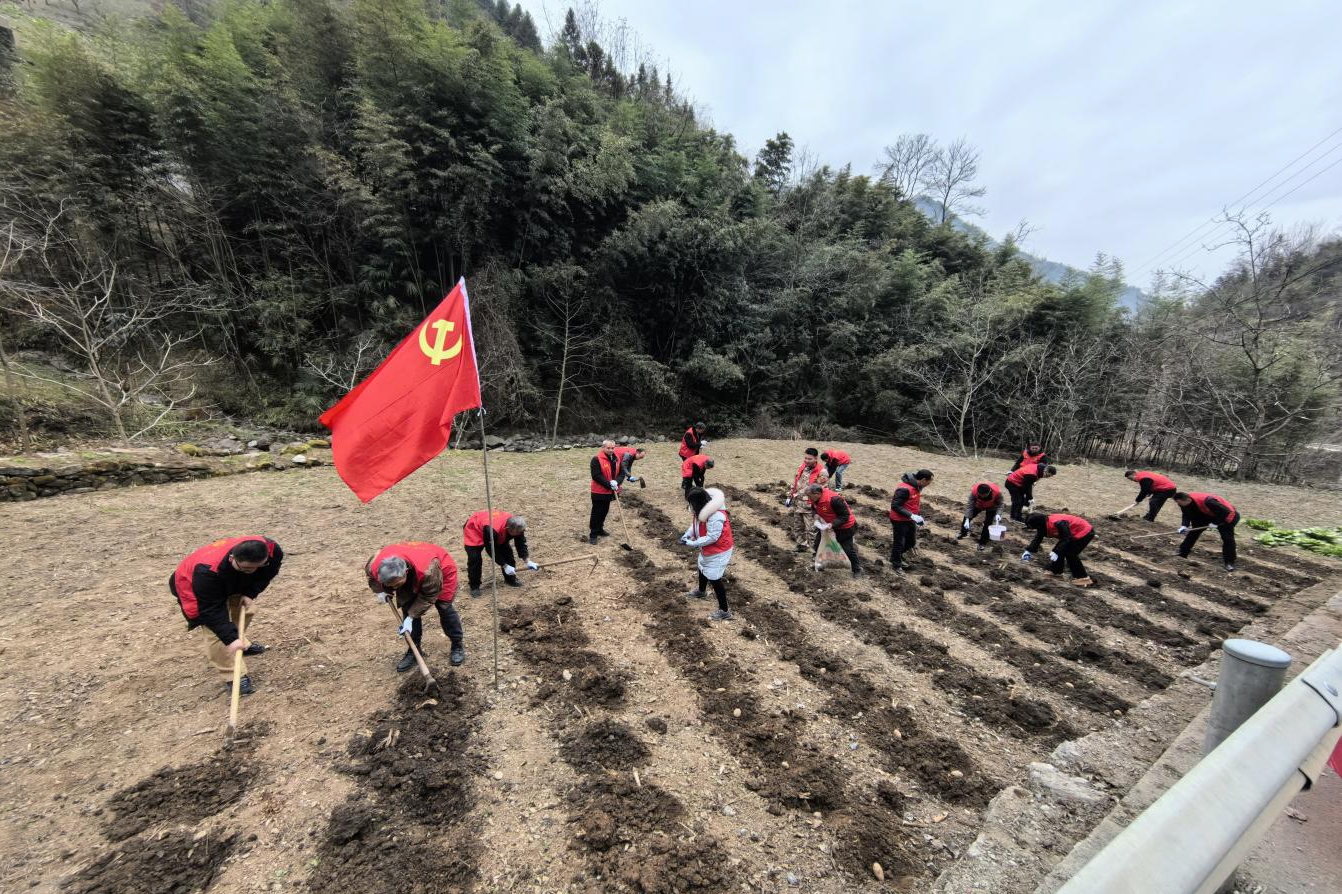 重庆城口高观镇：“数字管家”开启主题党日“2.0时代”