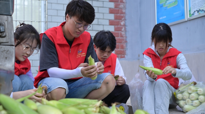 重庆巴南：党建引领聚智赋能 打造校地合作新范本