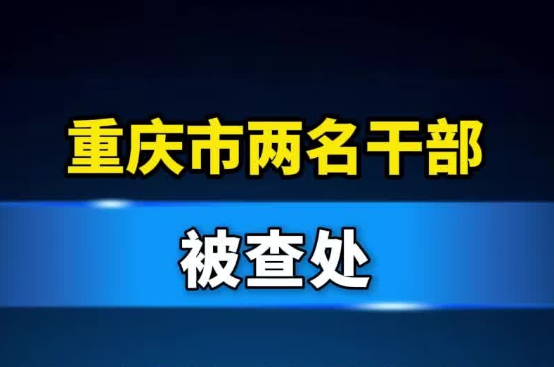 重庆市两名干部被查处