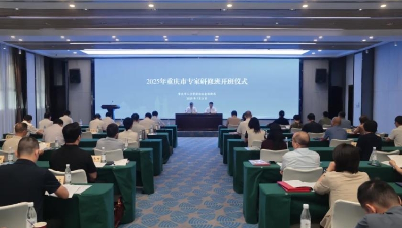 2025年重庆市专家研修班成功举办