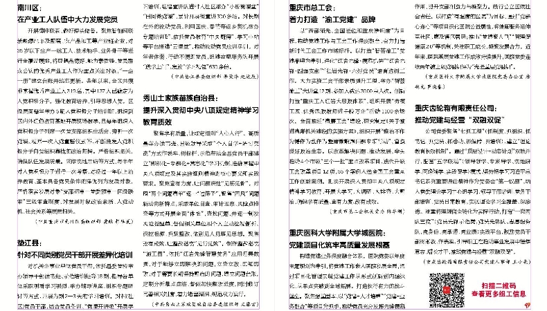重庆组工园地（2025年第13期）