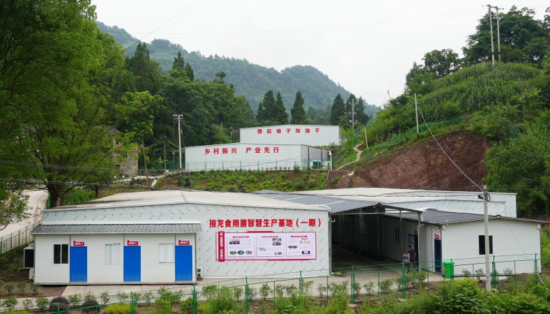 重庆巴南接龙镇马路村：“五马‘廉’兴”绘就清廉村居新图景