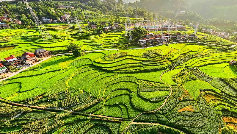 重庆忠县：七彩大地似锦绣