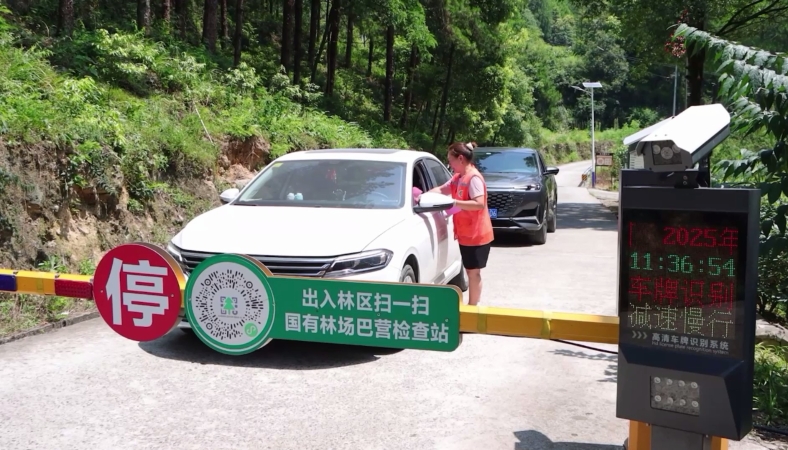重庆忠县：三级联动 筑牢森林防火安全防线
