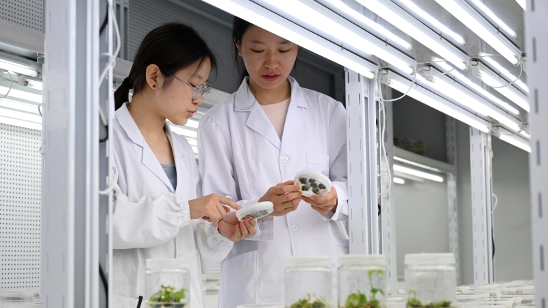 加快推进清廉建设与科技改革的深度融合