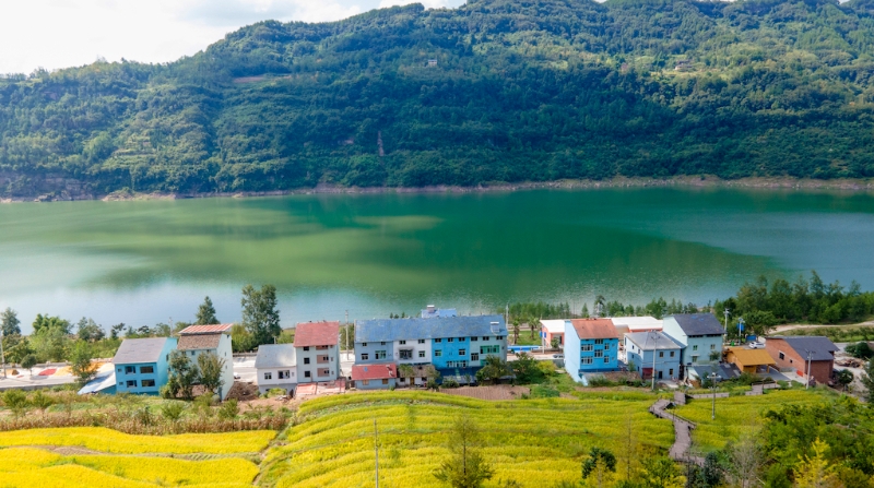 陈泰湧专栏 | 竹喻长沙村