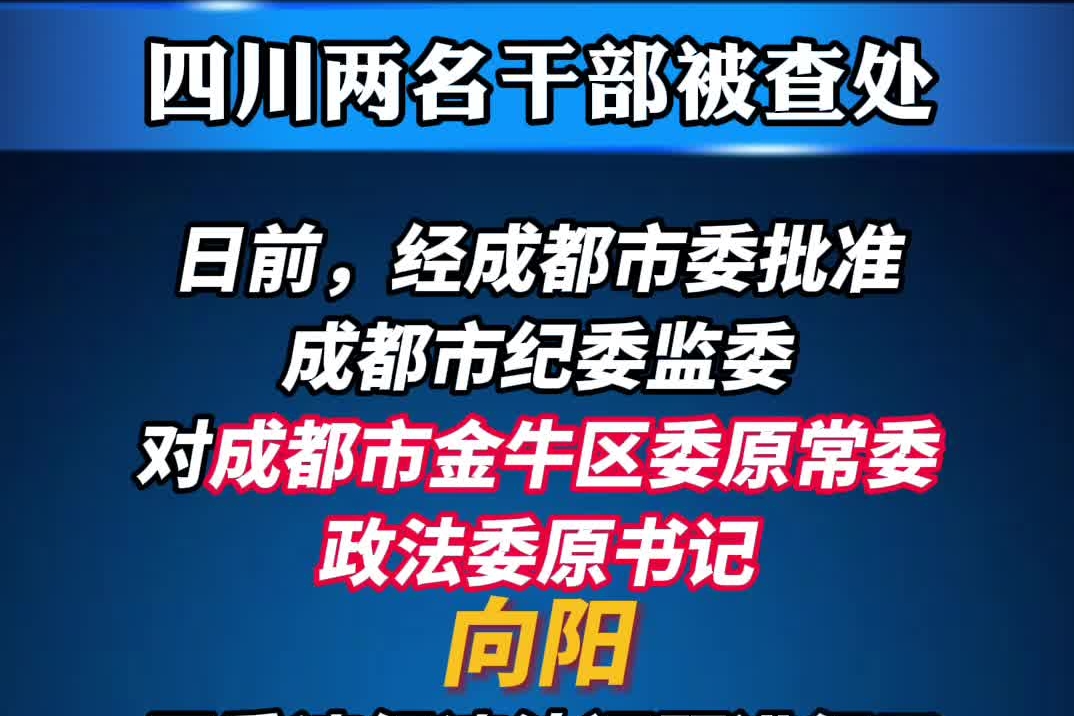 四川两名干部被查处