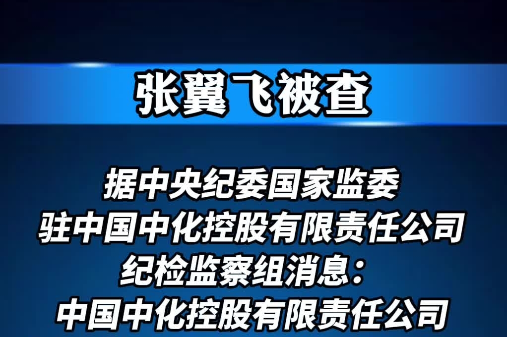 张翼飞被查