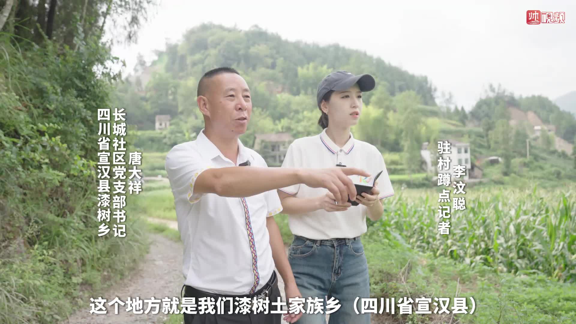 记者蹲点观察：“长城”镶“金边”
