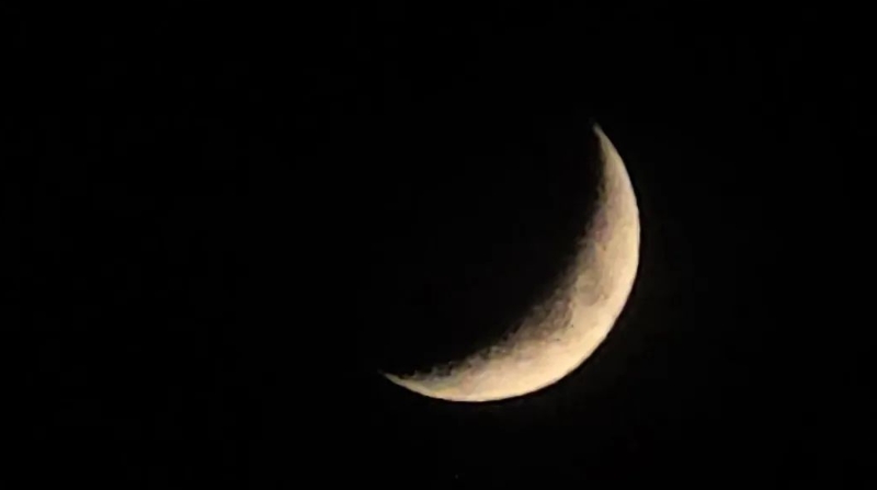 周鹊虹专栏 | 今夜的月光，纤纤如眉