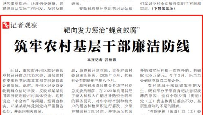 重庆等地靶向发力惩治“蝇贪蚁腐”