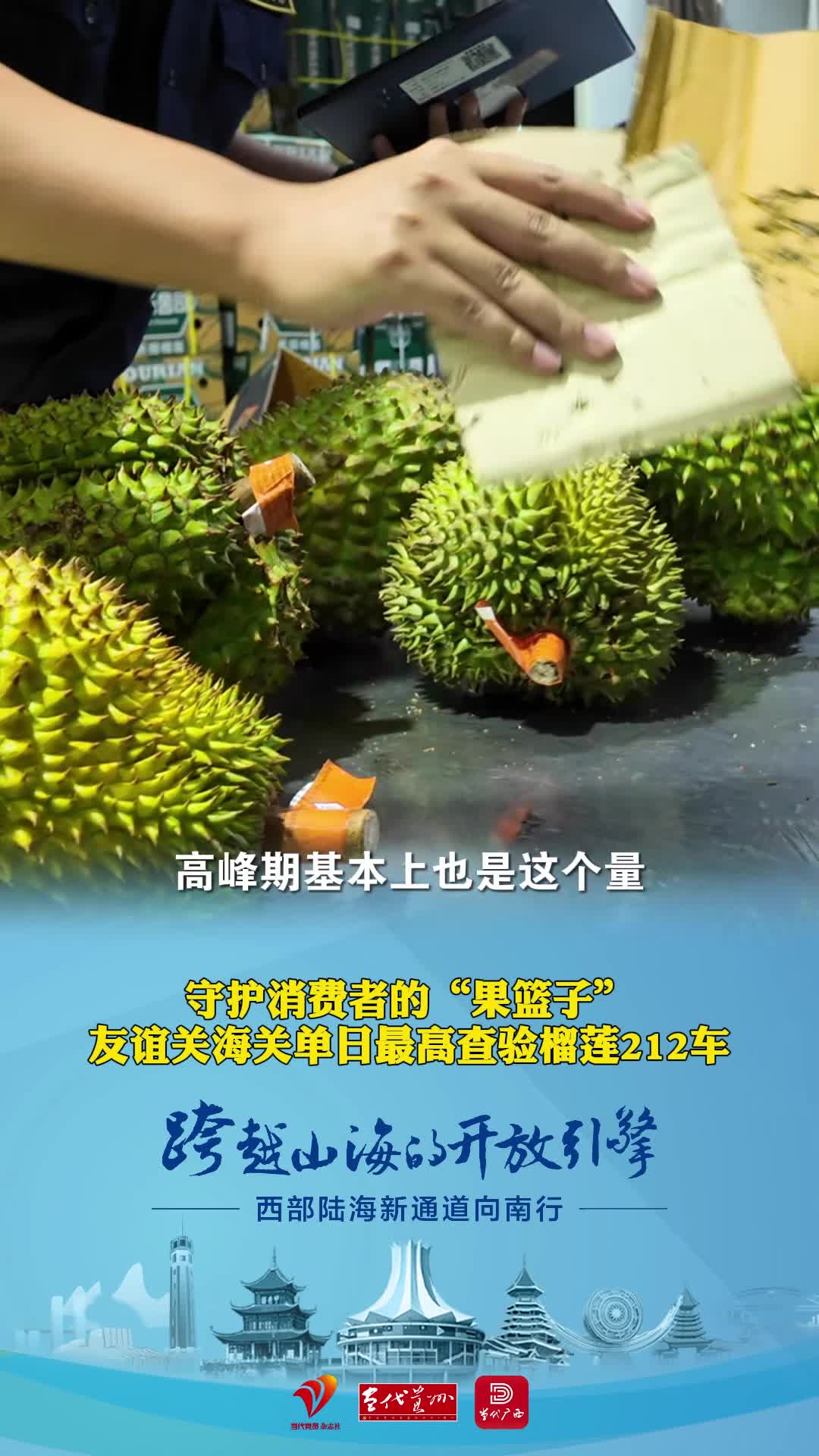 西部陆海新通道向南行｜守护消费者的“果篮子”，广西一半的水果在友谊关海关通关