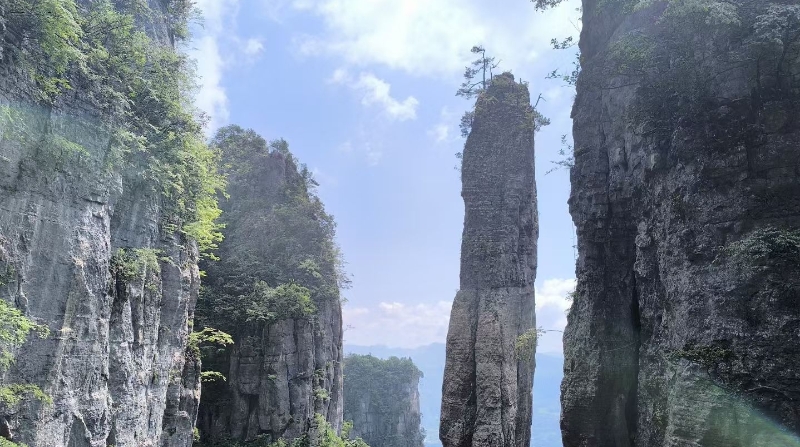 查晶芳专栏｜我自去见山