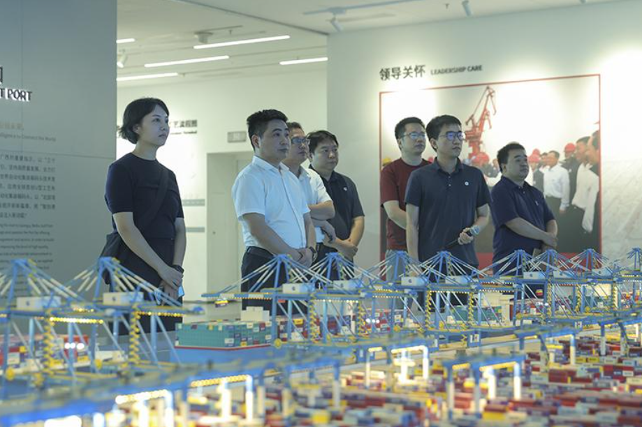 西部陆海新通道向南行丨在广西，见证新“动脉”的崛起与未来