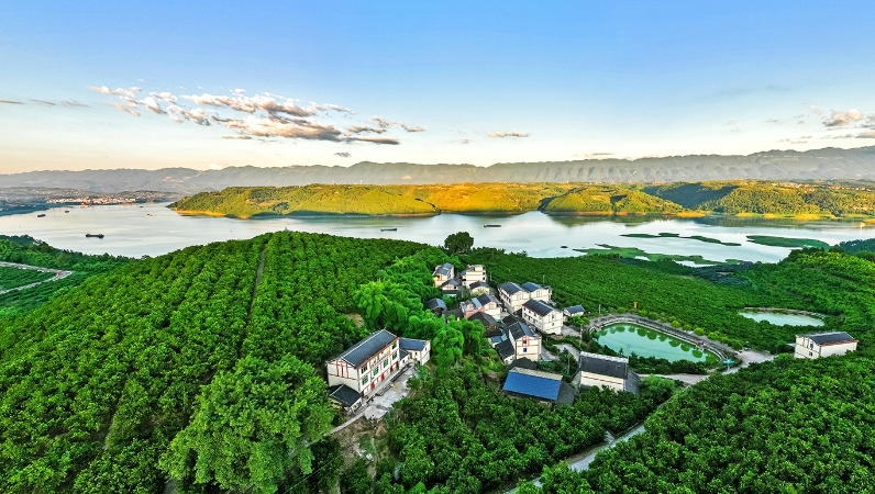 重庆忠县：秋意浓浓 如诗如画