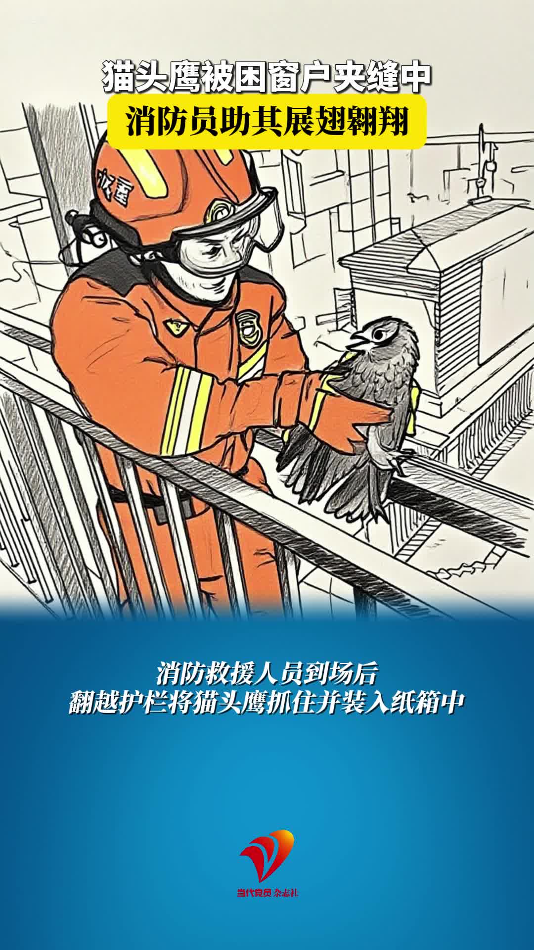 猫头鹰被困窗户夹缝中，消防员助其展翅翱翔