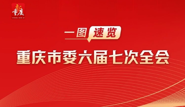 一图速览重庆市委六届七次全会