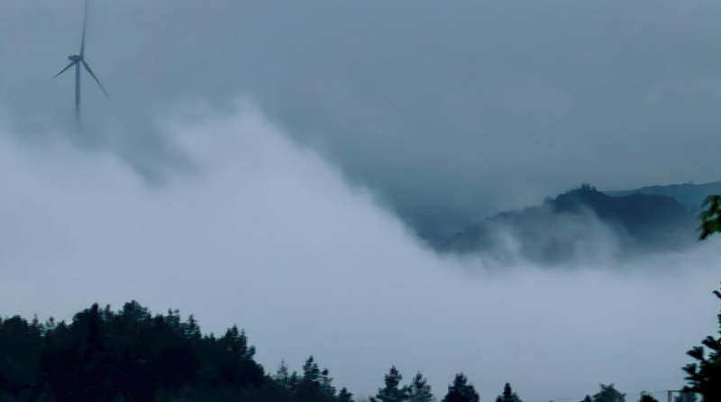 谭德成专栏｜山雨