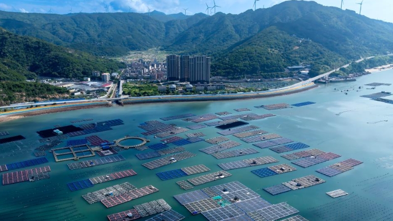 推动海洋经济高质量发展