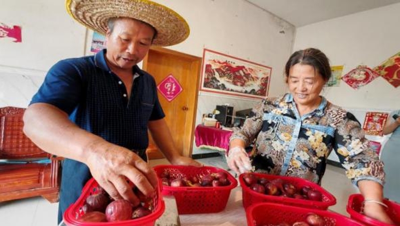 重庆荣昌区仁义镇：“热”土上的耕耘者
