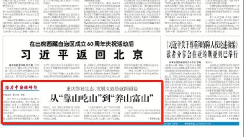 工人日报看重庆｜从“靠山吃山”到“养山富山”