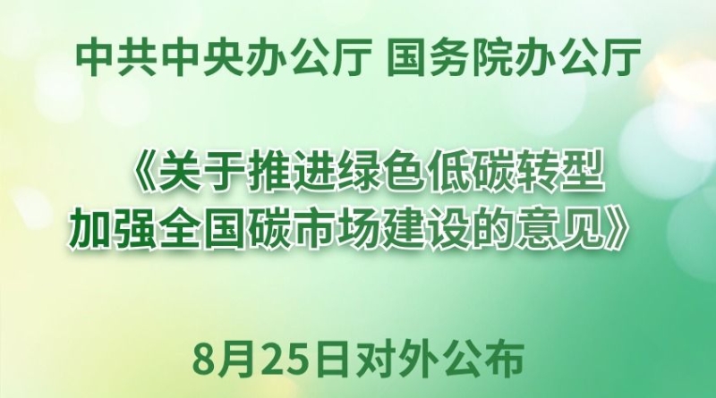 事关全国碳市场建设，中办、国办重磅文件对外公布