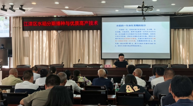重庆江津：实施“归巢扎根”行动　让“归雁”成为“头雁”