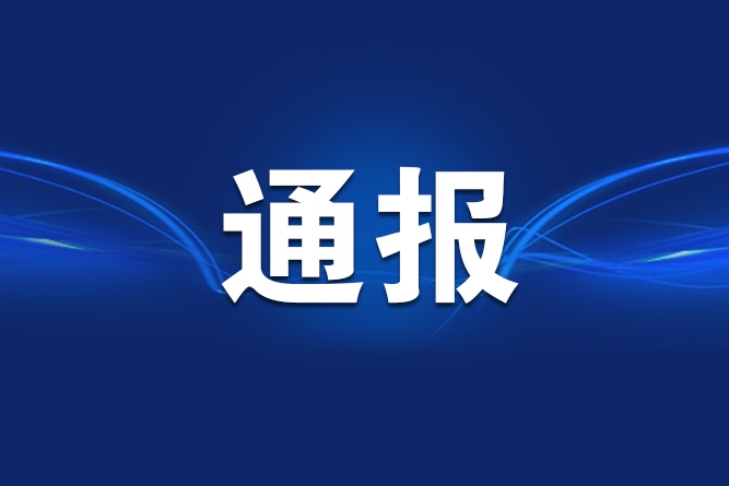 重庆通报2起整治形式主义为基层减负典型问题
