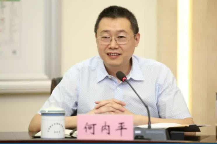 重庆市公安局原一级巡视员何内平被查#重庆#公安#审查调查