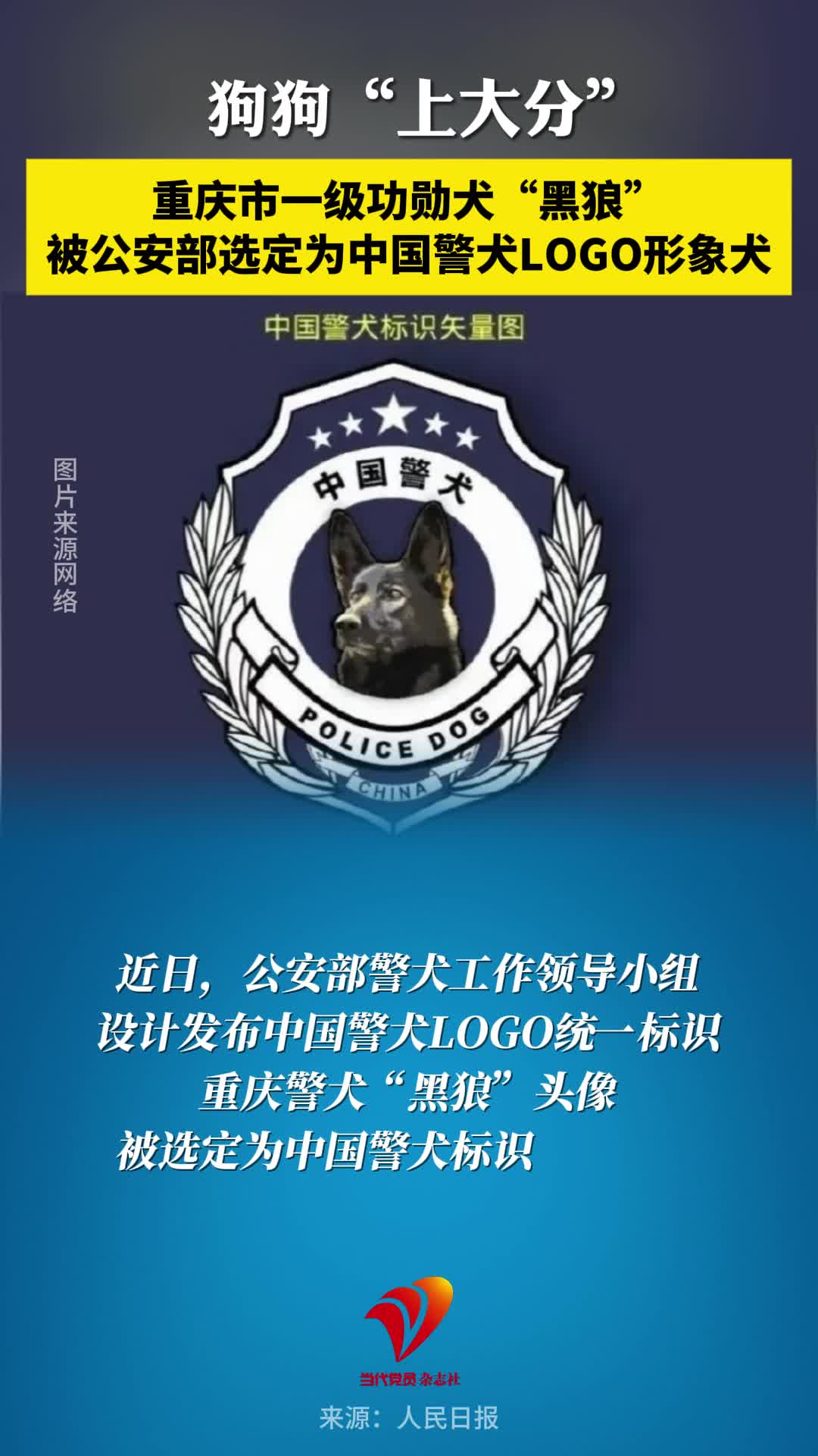 重庆市一级功勋犬“黑狼”被公安部选定为中国警犬LOGO形象犬！