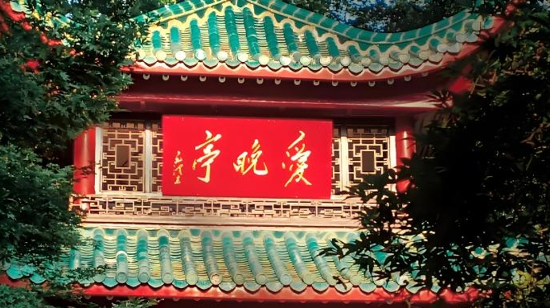 孙凤国专栏丨三万里河山（22）岳麓山游记