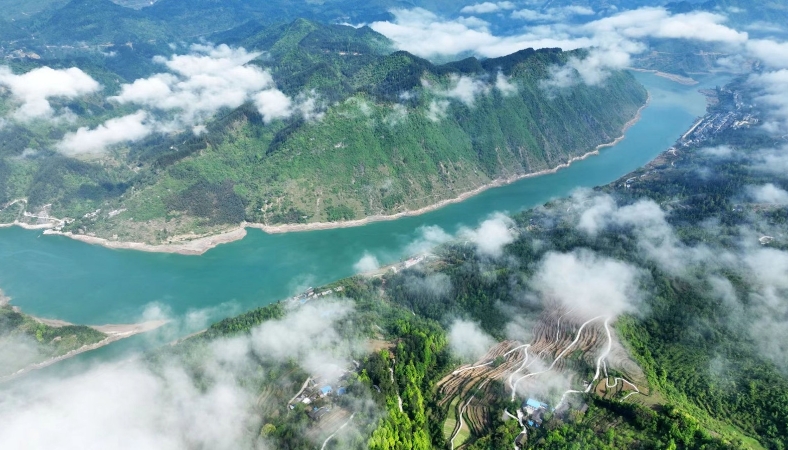 重庆酉阳清泉乡：党建领航 绘就基层社会治理新画卷