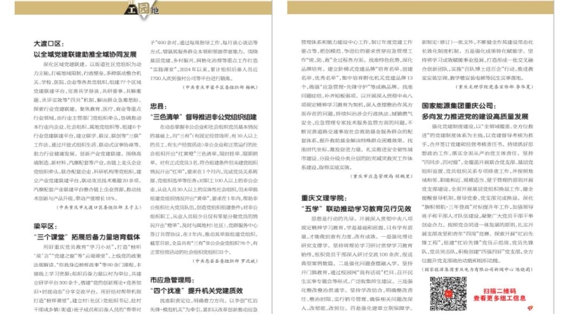 重庆组工园地（2025年第17期）