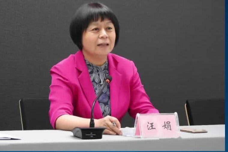 违规干预插手招生工作 汪娟被“双开”#海南#办学#反腐