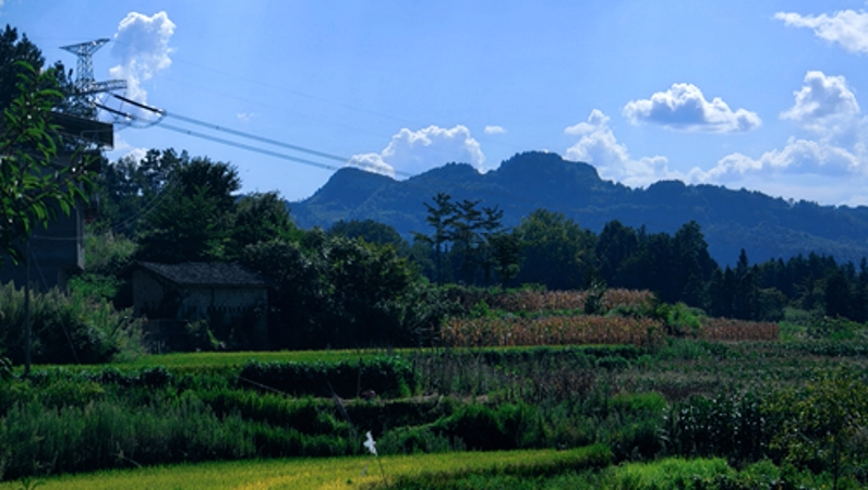 谭德成专栏｜故乡，喊你一声爹娘（外一首）