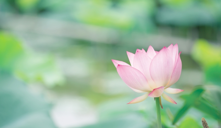 七一时评｜干部考察切忌“跟着感觉走”